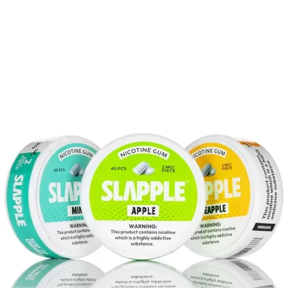 Slapple Nicotine Gum - 40ct - Mint - 4mg