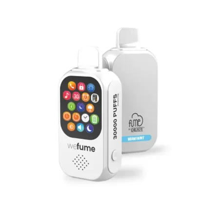 WeFume Bluetooth Smart Disposable 30000 Puffs – Miami Mint