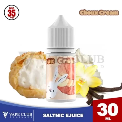 Choux Cream Custard Saltnic N35