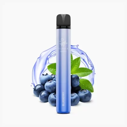 ELFBAR 600V2 Blueberry | Heidelbeeren Einweg Vape