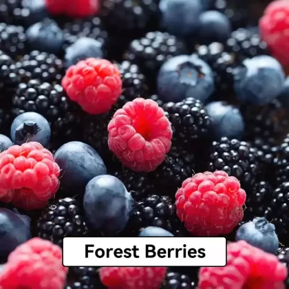 Relx Infinity Pod Gen6 2 pods pack – Forest Berries - Ozvapeone