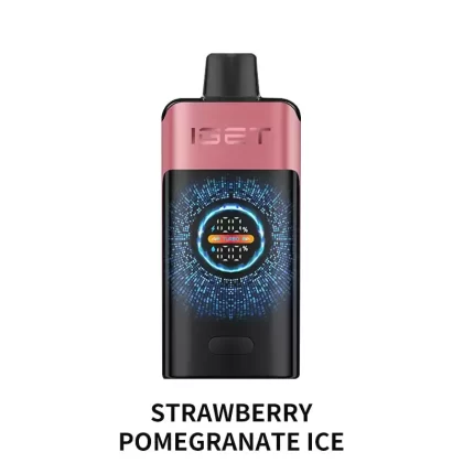 IGET ONE 12000 Puffs – Strawberry Pomegranate Ice - Vape Store