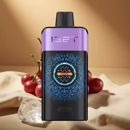 IGET ONE 12000 Puffs Turbo Disposable Vape with Dual Mesh Coil & Curved Screen – Grape Ice