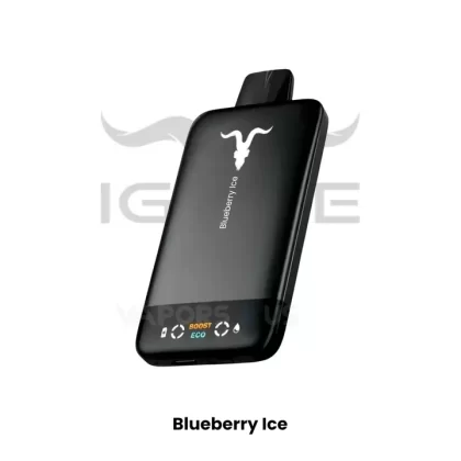 IGNITE – V155 Rechargeable Disposable Vape 15,500 Puffs Dubai Vape Price - Blueberry Ice, Grape Ice; 15500puffs