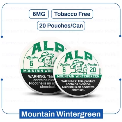 Buy ALP Mountain Wintergreen 6MG Nicotine Pouches - Ejuicewarehouse