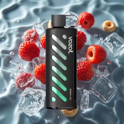 VOZOL Gear Shisha 25000 Puffs Berry Ice Disposable Vape with S.i.L.C Tech & Dual Mesh Modes - Bangvapeaustralia