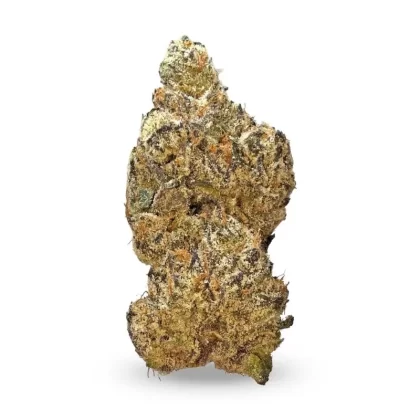 Snowy Delight – Hybrid (Exotic) 3.5g