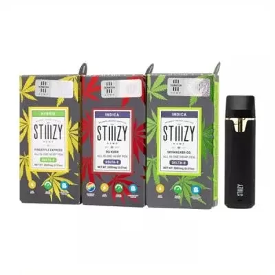 STIIIZY Delta-8 AIO Disposable 2G