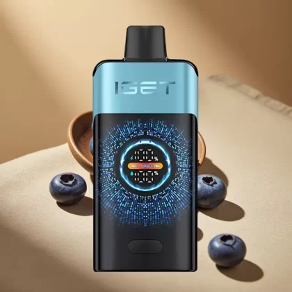 IGET ONE 12000 Puffs Disposable Vape with Turbo Mode, 2700mAh Battery, and Dual Mesh Coil – Blueberry Ice