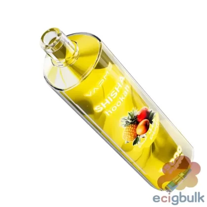 Vapme Shisha 15000 Disposable Vape – 15000 Puffs, 24 Flavors, Rechargeable