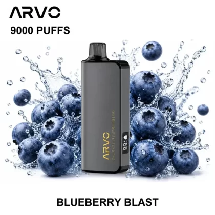 ARVO 9000 PUFFS – Blueberry Blast - Ozvapeone