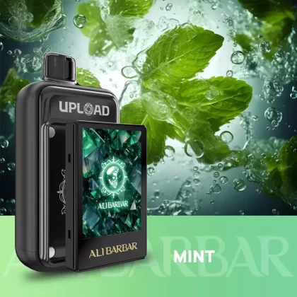 ALIBARBAR UPLOAD 25000 PUFFS – Mint - Ozvapeone