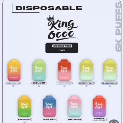 King Berry Fusion Nicotine Free Disposable Vape 6000 Puffs