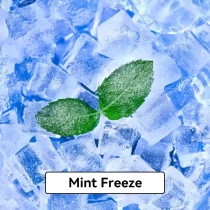 Relx Infinity Pod Gen6 2 pods pack – Mint Freeze - Ozvapeone
