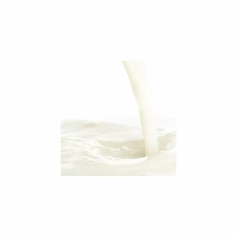 Concentrated Malted Milk TFA - Bangvapeaustralia
