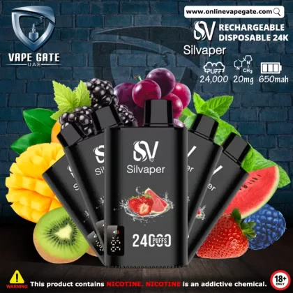 Silvaper Disposable Vape 24000 Puffs - 20 mg / Blueberry Pomegranate