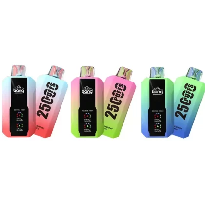 Bang 25000 Puffs Rechargeable Disposable Kit (LED Display)