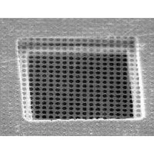 Quantifoil® Orthogonal Array of 1.2µm Diameter Holes with about 1.3µm Separation – (R 1.2/1.3) - 200 Mesh, 300 Mesh; Copper, Gold; pkg/10, pkg/100