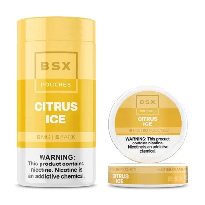 Citrus Ice BSX Pouches by Glas