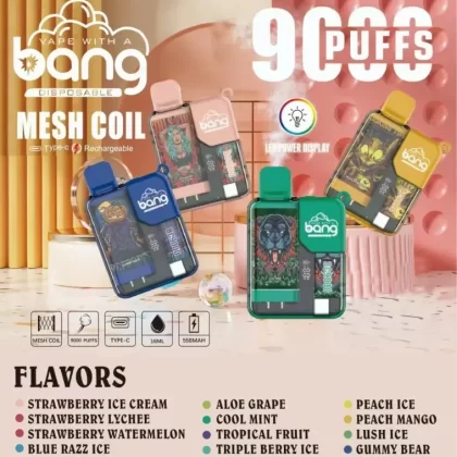 Bang 9000 Puffs | 0%-5% strength, bulk disposable vape - Aiviouvapes