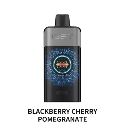 IGET ONE 12000 Puffs – Blackberry Cherry Pomegranate - Vape Store