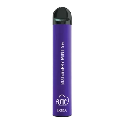Fume Extra Blueberry Mint 1500 Puffs - Vape Store