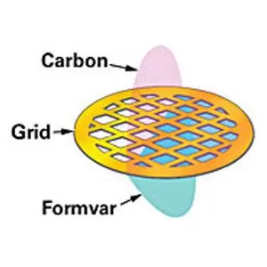 Ultrathin Carbon (<3nm) on Carbon Lacey Support Film