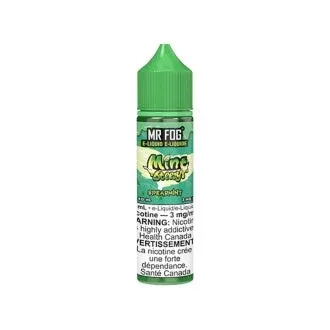 Mint Steezy Spearmint – AB