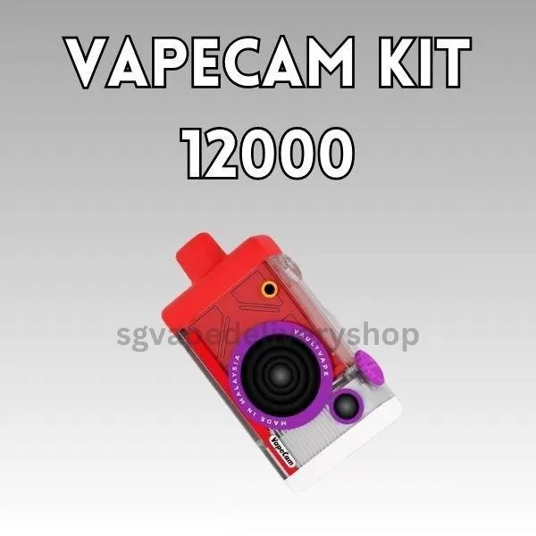 Vapecam 12000 Puffs - Mango Blackcurrant (Cartridge)
