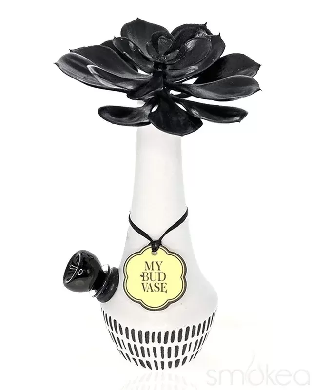 My Bud Vase Zuzu Bong