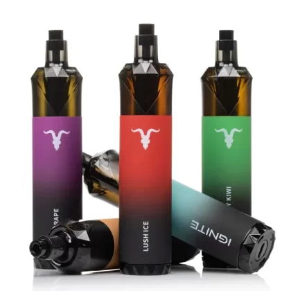 Ignite V30 Recharge Disposable Vape – 3000 Puffs