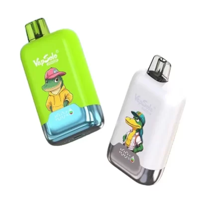 Vapsolo Honor 20000 Puffs Disposable Vape - Flavors#Watermelon ice>Cherry Cola ice>Strawberry Kiwi>Strawberry Watermelon>Aloe Grape>Mixed Berries>Cool Mint>Blueberry Raspberry Lemon>Kiwi Pas
