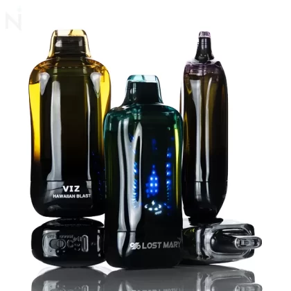 Lost Mary VIZ 55K 55,000 Puffs Disposable Vape - 16.7mL - Miami Mint