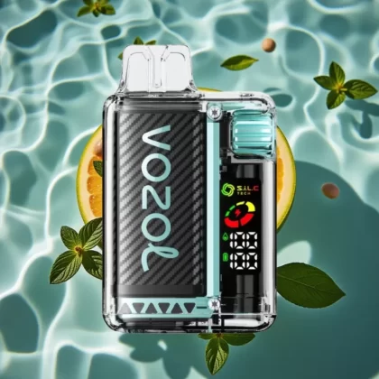 VOZOL Vista 20000 Puffs Rechargeable Disposable Vape with OLED Screen & Miami Mint Flavor - Bangvapeaustralia