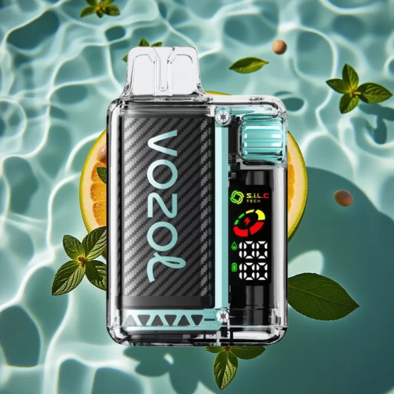 VOZOL Vista 20000 Puffs Rechargeable Disposable Vape with OLED Screen & Miami Mint Flavor - Bangvapeaustralia