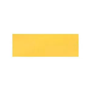 PELCO® Gold Coated Microscope Slide