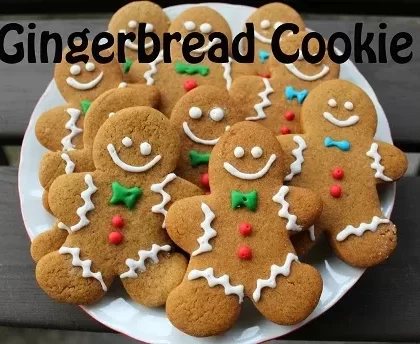Gingerbread Cookie Premium E-Liquid