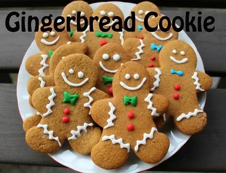Gingerbread Cookie Premium E-Liquid