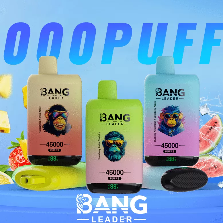 Bang Leader 45000 – 45K Puffs 0-5% Nicotine Dual Mesh Coils Disposable Vape - Flamevape