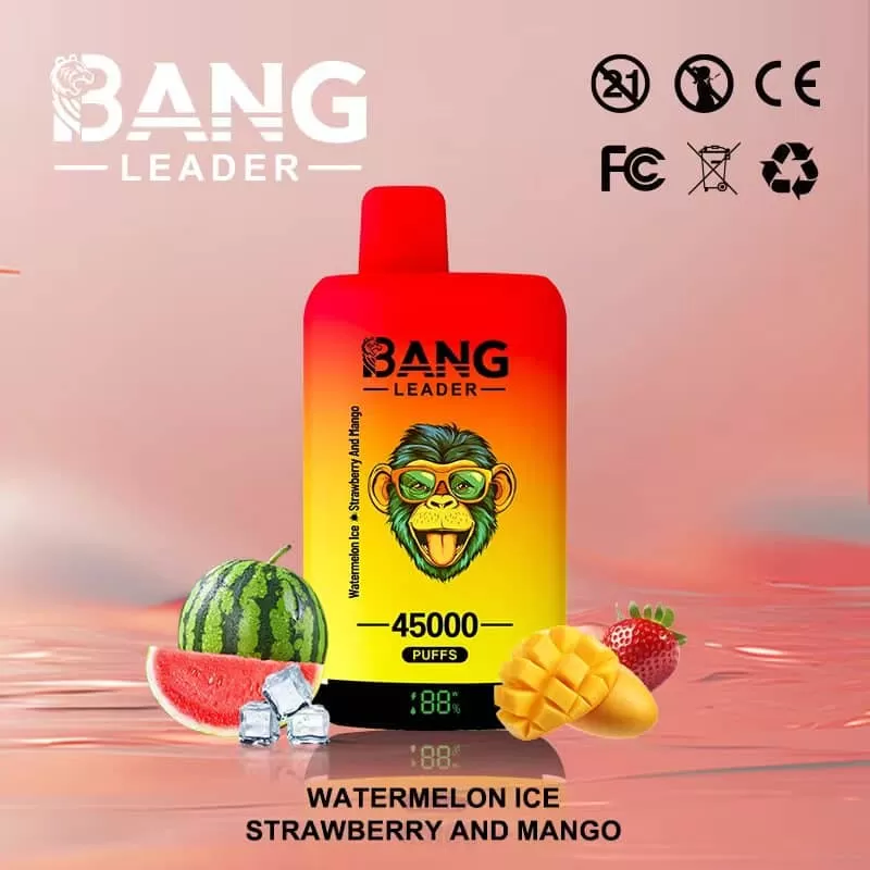 Bang Leader 45000 – 45K Puffs 0-5% Nicotine Dual Mesh Coils Disposable Vape - Flamevape - Image 2