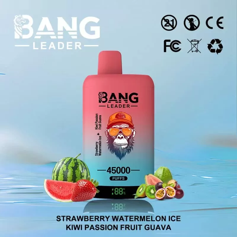 Bang Leader 45000 – 45K Puffs 0-5% Nicotine Dual Mesh Coils Disposable Vape - Flamevape - Image 3