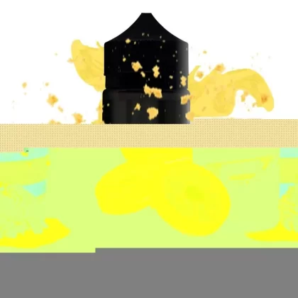 CUSTARD E LIQUID BY JUST JAM – BISCUIT 100ML 80VG