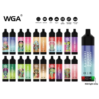 WGA 40000 Puffs Disposable Kit 35ml - Fresh Mint / 1pc / 20mg / CN-SZ