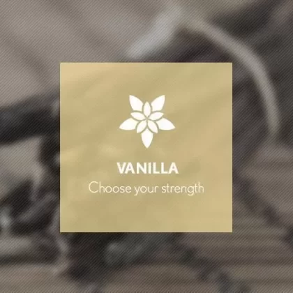 Vanilla By Blast E-Liquid 10ml - Nicotine Free