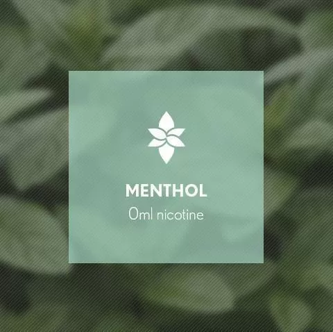 Menthol By Blast E-Liquid 10ml - 12mg - Image 2