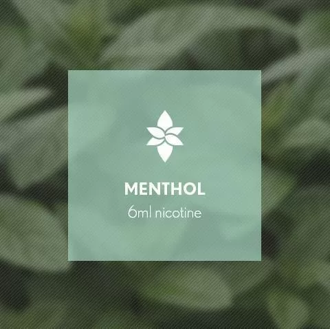 Menthol By Blast E-Liquid 10ml - 12mg - Image 3