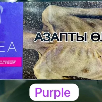 Heets TEREA Purple Kazakhstan
