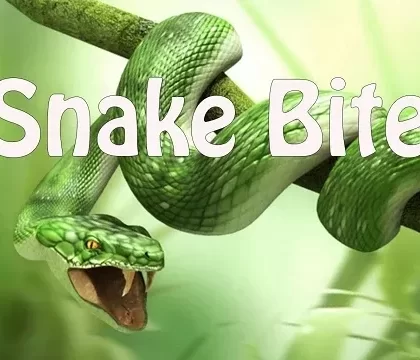 Snake Bite Premium E-Liquid