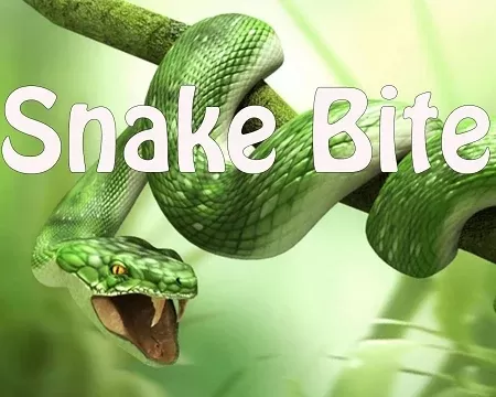 Snake Bite Premium E-Liquid