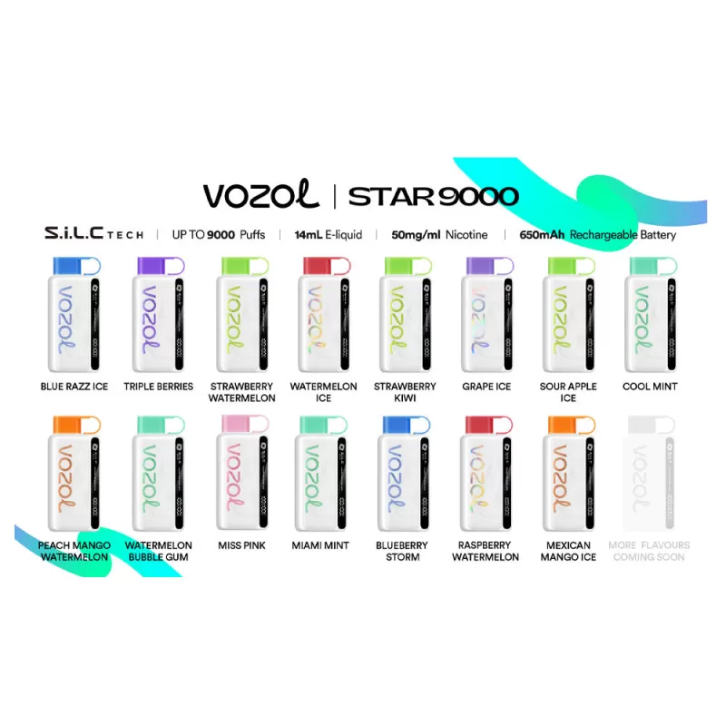 Vozol STAR 9000 Disposable Vape - 9000 Puffs - Blueberry Storm - Image 2